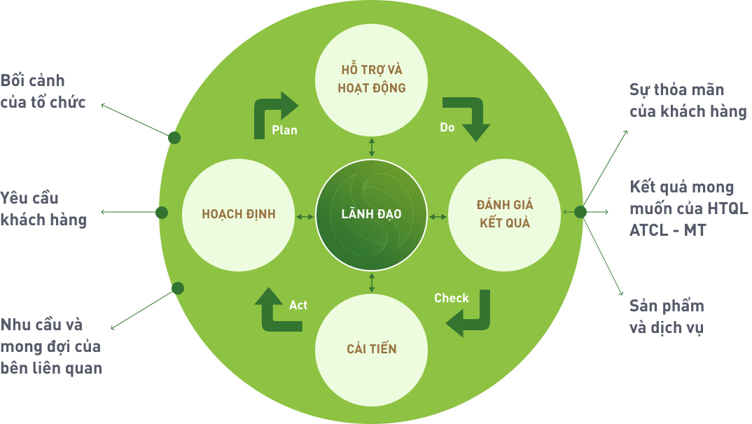 Mô hình cấu trúc HSE